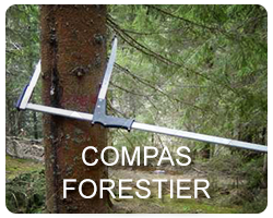 Bastringue et marteau forestier