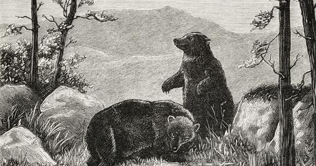 "Galetas des chasseurs et paysages"