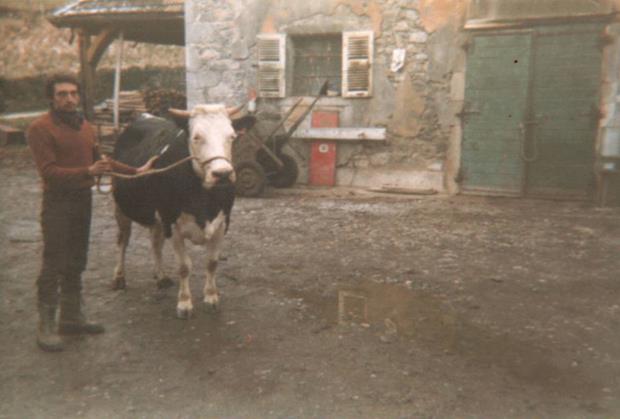 Les derniers fermiers